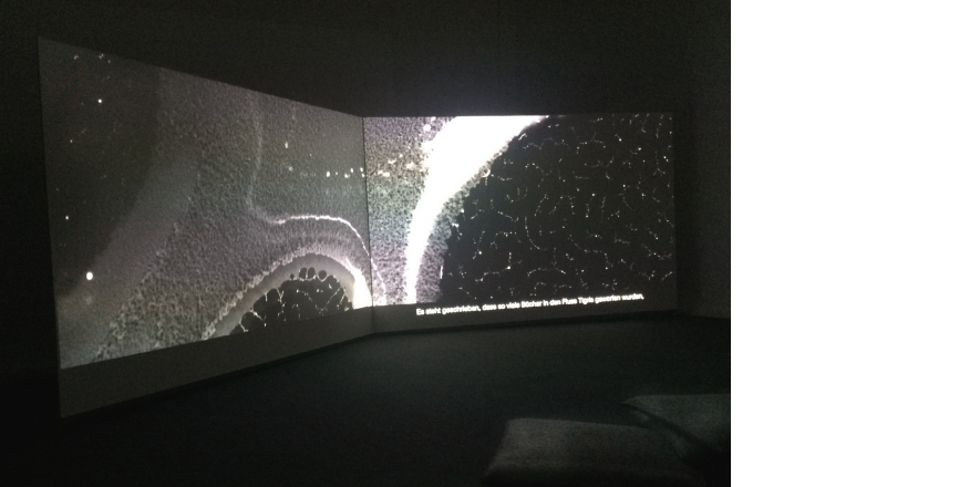 installed film