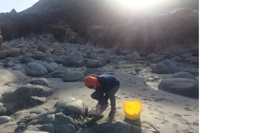 Porth Nanven