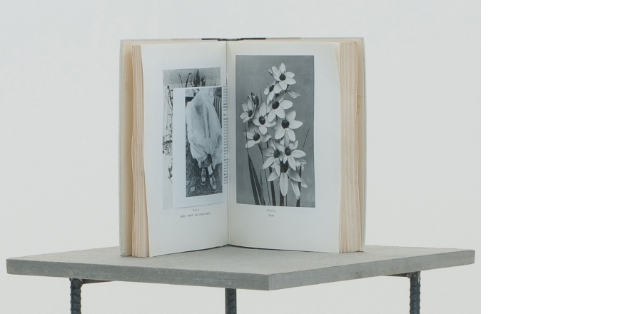 Flowers for House and Garden: Man (Unit: The British Countryside in Pictures)