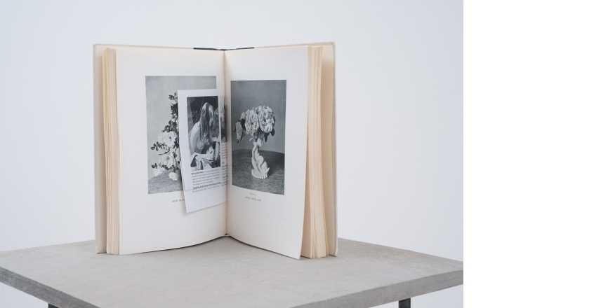 Flowers for House and Garden: Woman